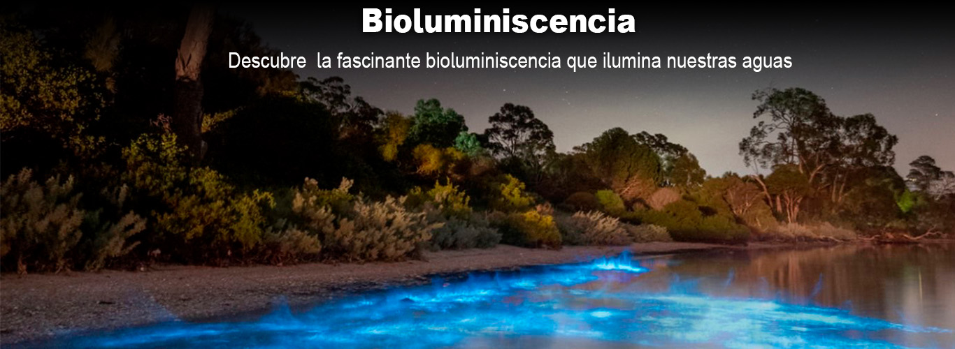 bioluminiscencia