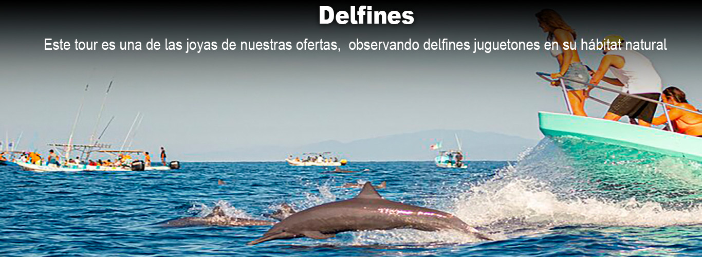 delfines